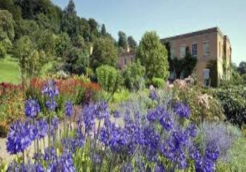 Killerton